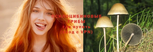 mdpv Снежногорск