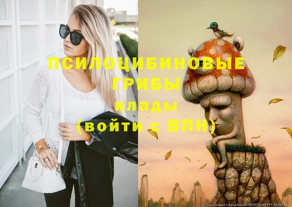 гидропоника Слюдянка