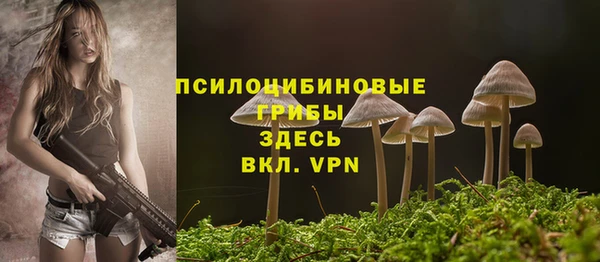 mdpv Снежногорск