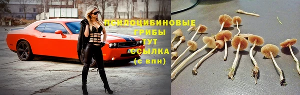 гидропоника Слюдянка
