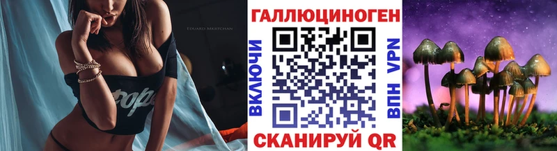 Галлюциногенные грибы прущие грибы  Тайга 
